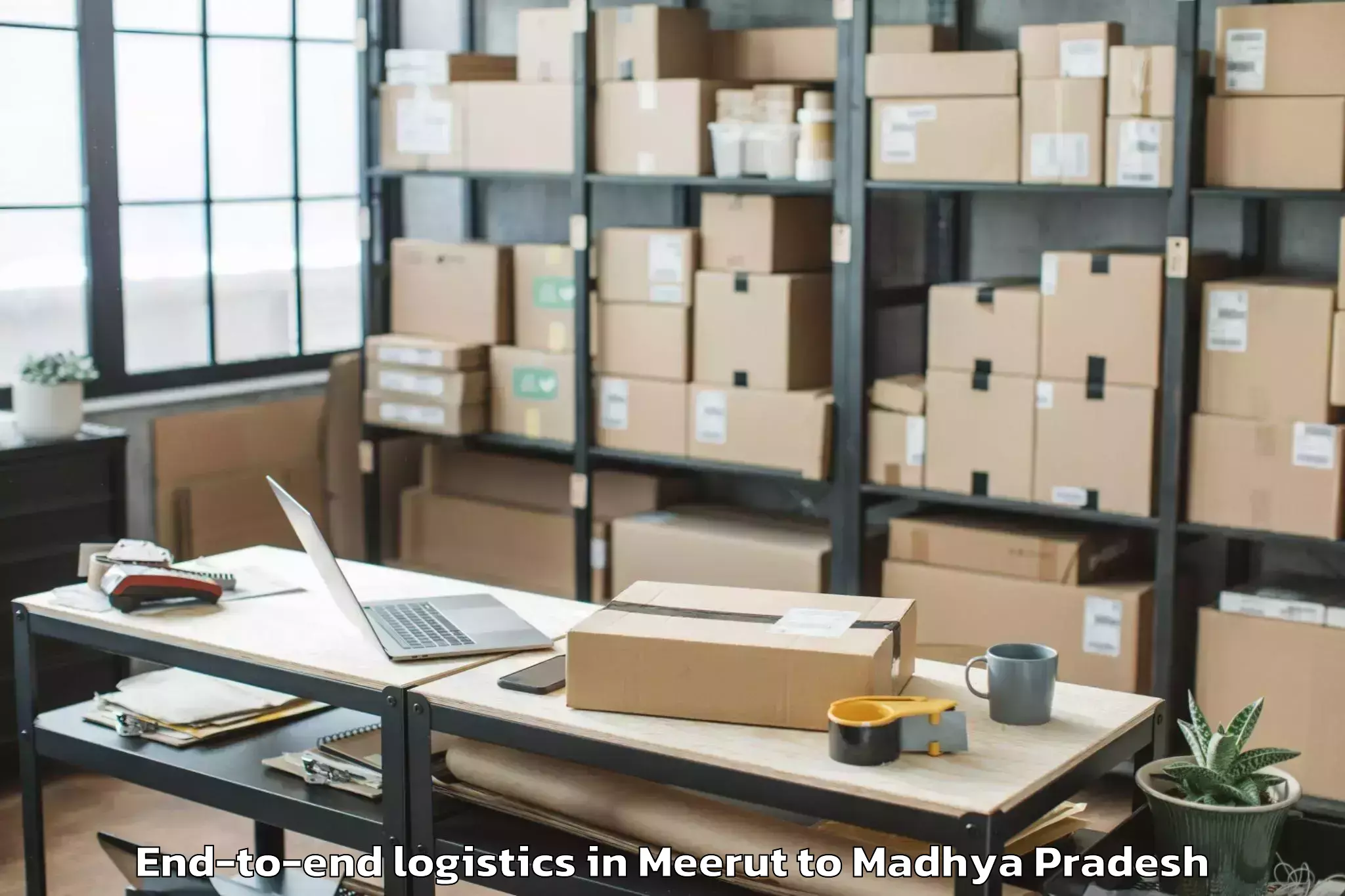 Professional Meerut to Harda End To End Logistics